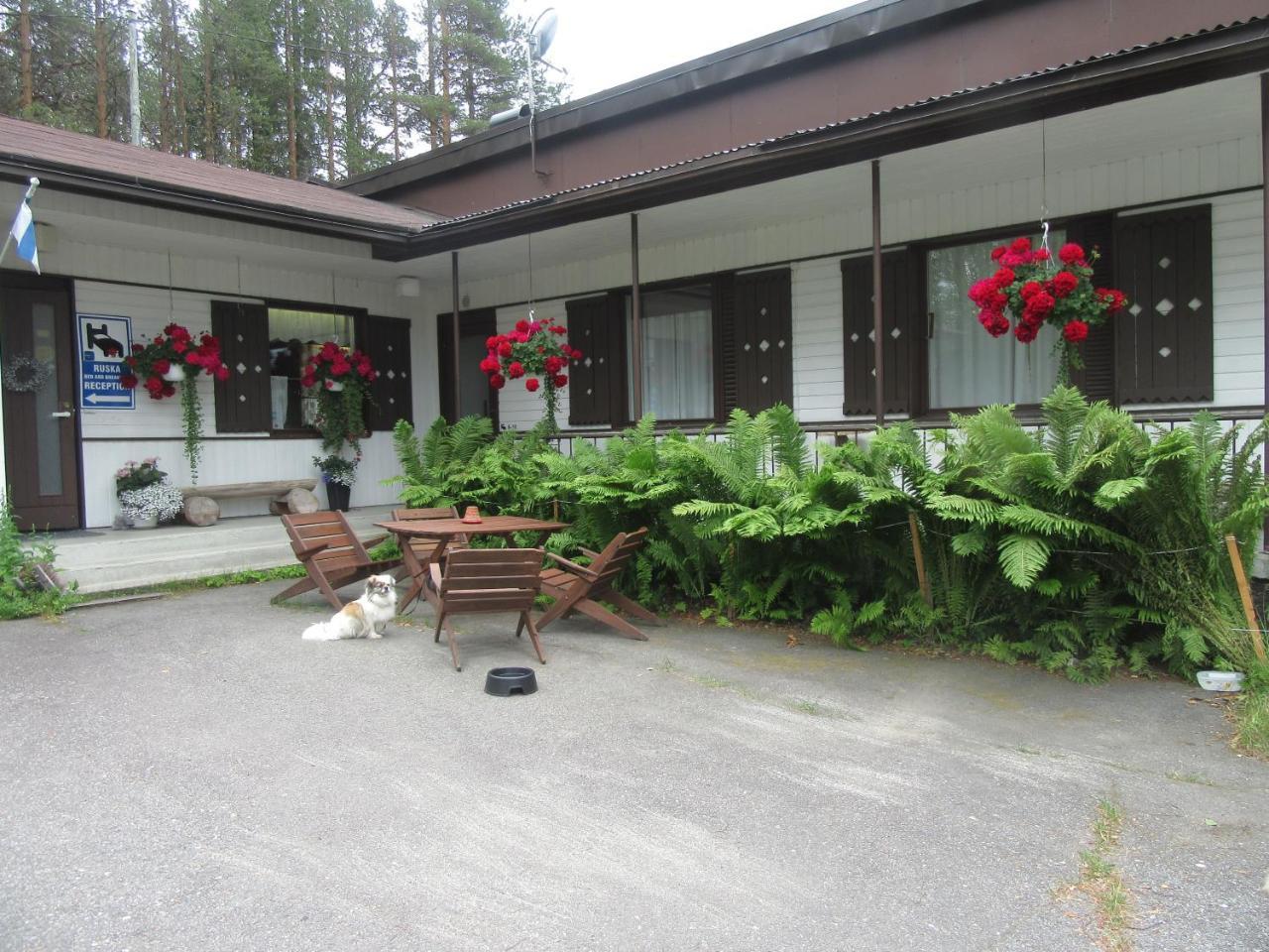 Ruska Bed & Breakfast Taivalkoski Ngoại thất bức ảnh